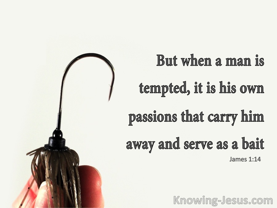 James 1:14 Man's Passion Serves As Bait (gray)
